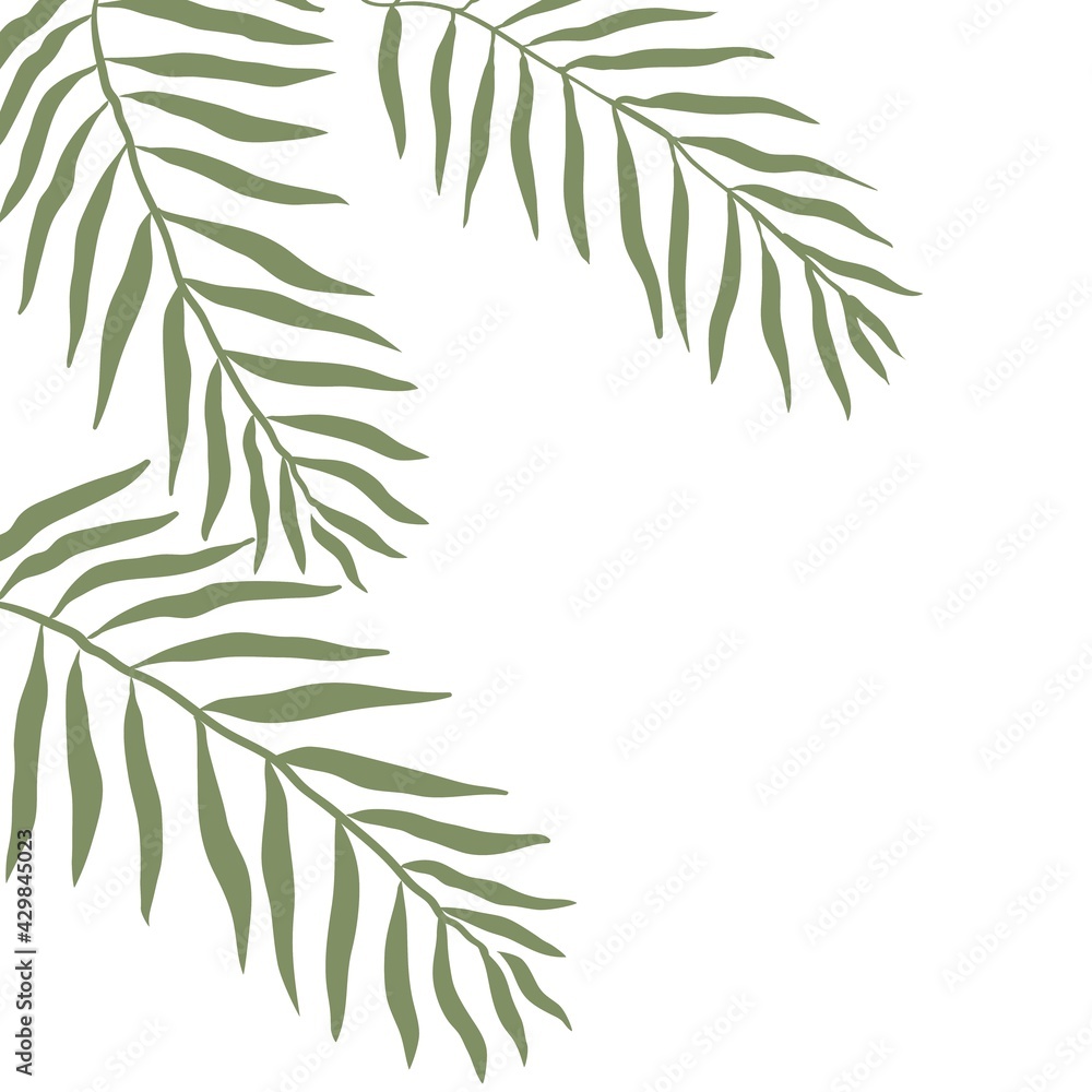Tropical background with leaves with space for your design.Stock vector illustration isolated on white background. Tropical background with leaves with space for your design.Stock vector illustration isolated on white background.