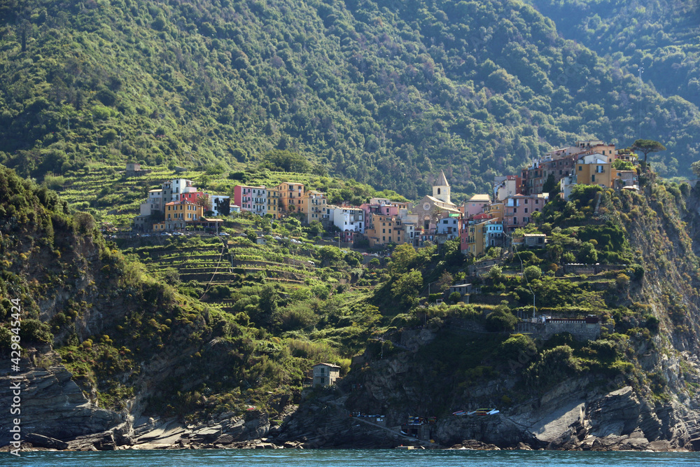 Corniglia Italy is a very colorful town that hangs on the mountainside with many vineyards and is one of five towns that make up the cinque terre region.