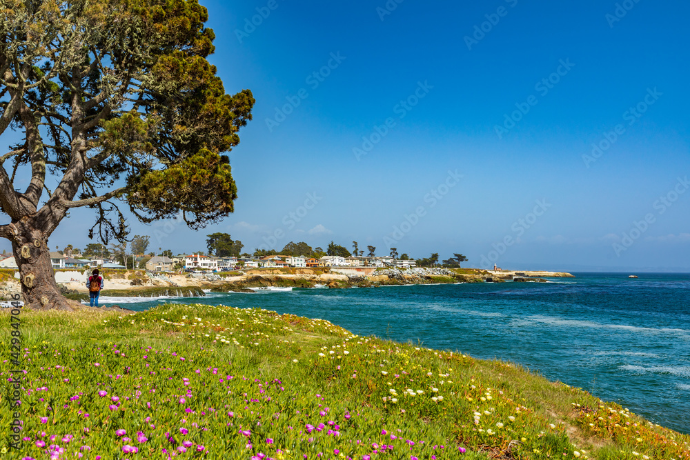 California-Santa Cruz