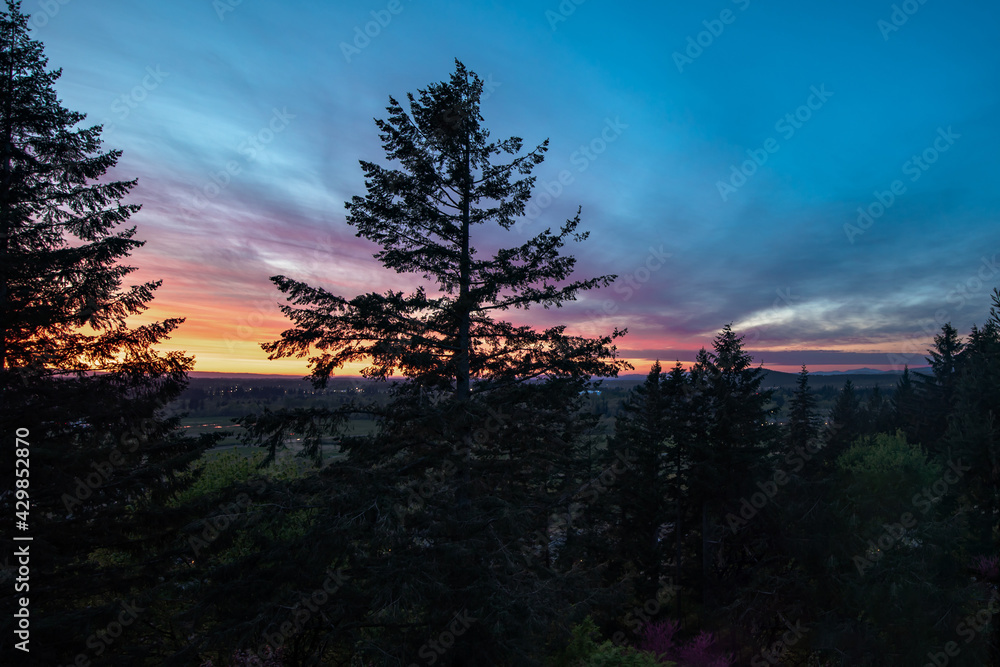 Beautiful sweeping panoramic vista of vibrant dramatic, moody sky sunset, at twilight in the Pacific Northwest with silhouette of a very large towering evergreen tree. Beautiful sweeping panoramic vista of vibrant dramatic, moody sky sunset, at twilight in the Pacific Northwest with silhouette of a very large towering evergreen tree.