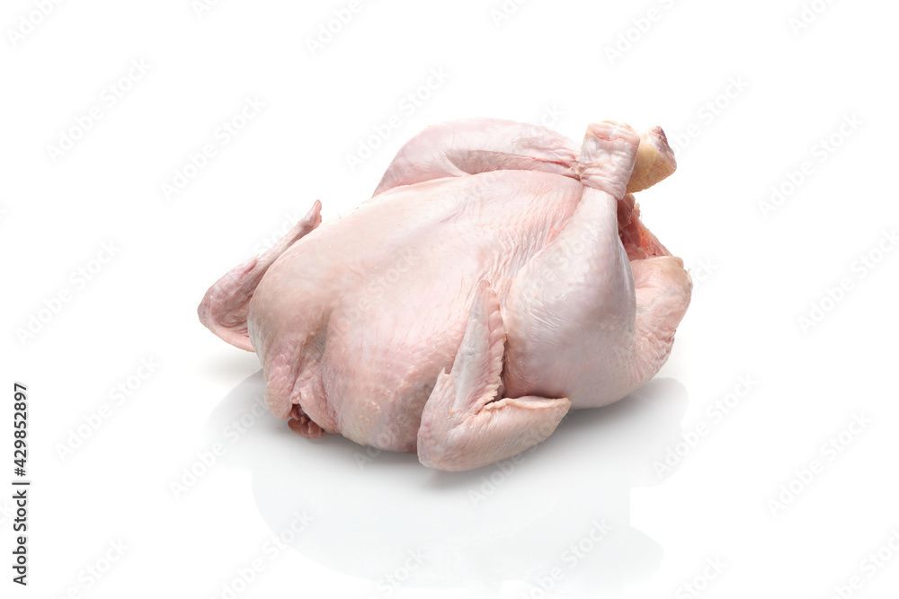 Raw hen broiler isolated on white background. Whole fresh raw chicken closeup view. Raw hen broiler isolated on white background. Whole fresh raw chicken closeup view.