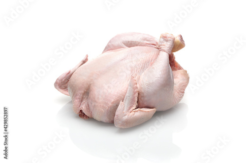 Raw hen broiler isolated on white background. Whole fresh raw chicken closeup view.