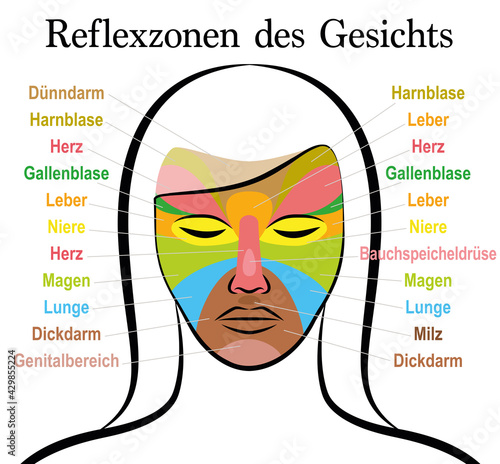 Face reflexology chart, german text, female face. Acupressure and physiotherapy health treatment. Zone massage chart with colored areas and names of internal organs. Colorful face mapping.
