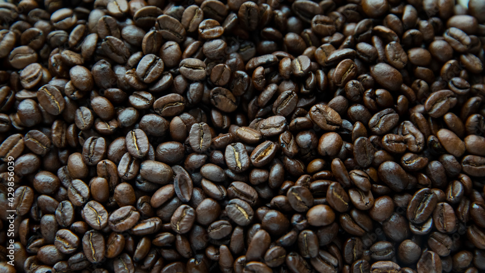 Close up of coffee beans