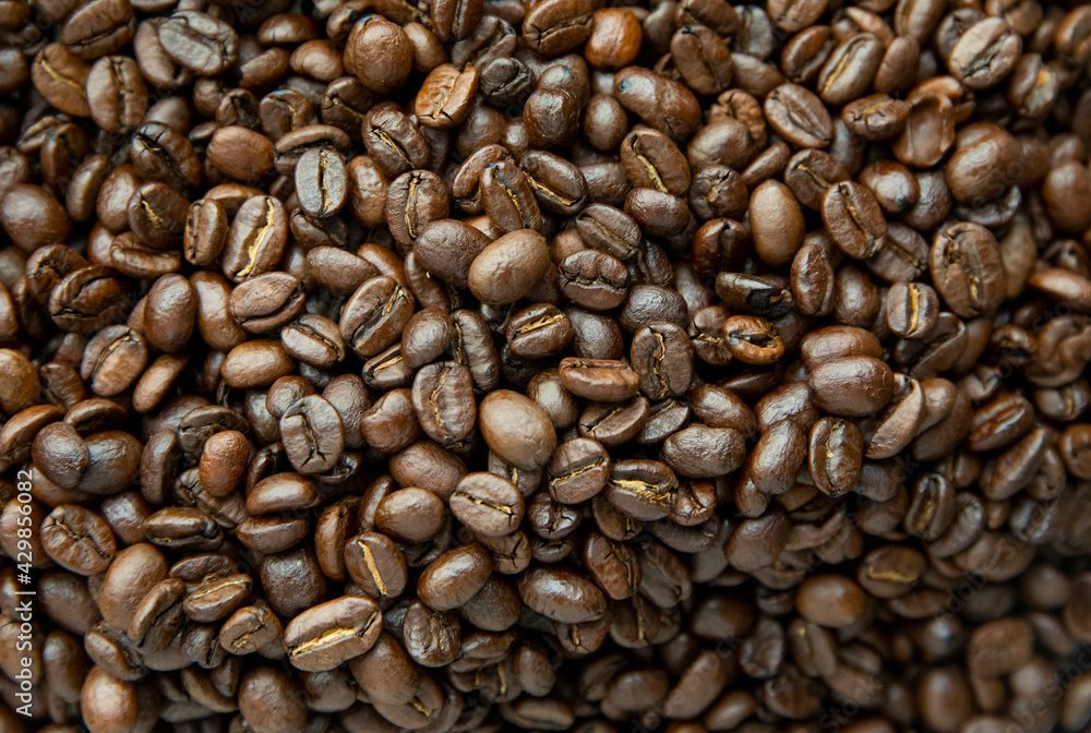 Close up of coffee beans Close up of coffee beans