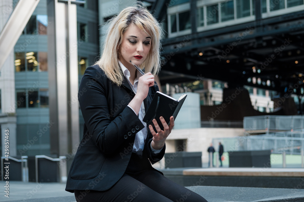 Beautiful business woman looking to her notepad. Beautiful business woman looking to her notepad.