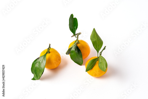 Orange ripe mandarins or tangerines fruit with green leaves, isolated on white background, copy space.