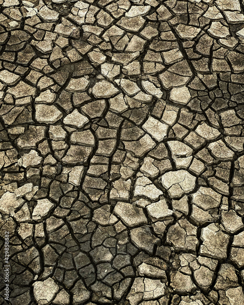 dry cracked earth hooksiel dry cracked earth hooksiel