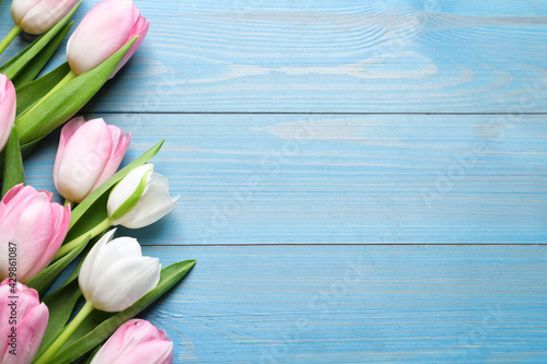 Fototapeta Naklejka Na Ścianę i Meble -  Beautiful pink spring tulips on light blue wooden background, flat lay. Space for text
