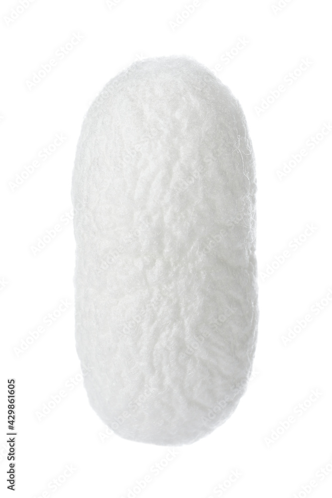 Beautiful natural silkworm cocoon isolated on white Beautiful natural silkworm cocoon isolated on white