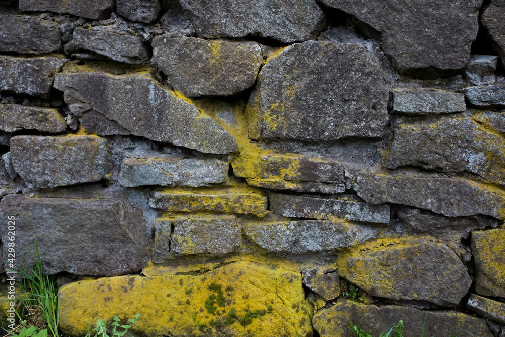 Fototapeta premium Texture of a stone grey wall with moss