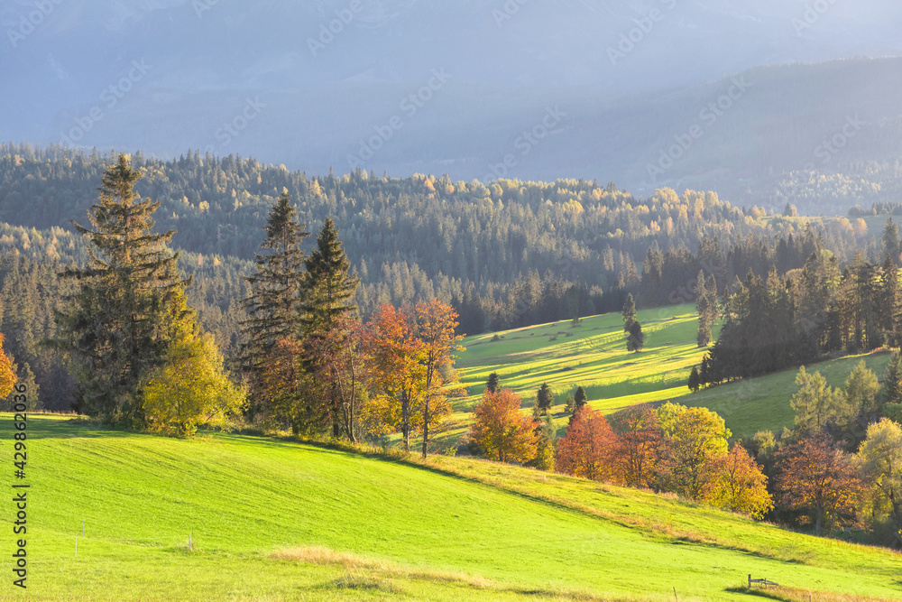 Foothills of the Tatras mountains, Poland. Natural landscape with yellow autumn trees and hills