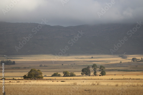 Wild land and Farm in South Africa