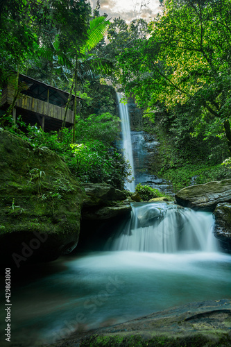 Cascada rodeada de vegetaci  n  junto a una casa.