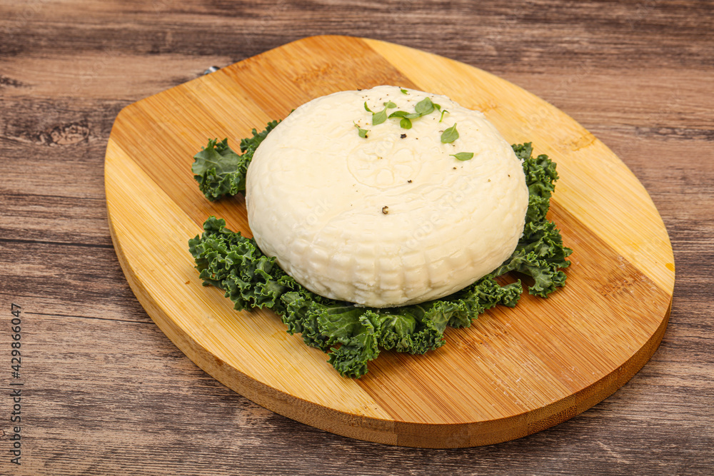 Caucasian suluguni round cheese piece Caucasian suluguni round cheese piece
