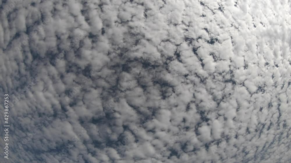 timelapse of white dense clouds on the blue sky timelapse of white dense clouds on the blue sky
