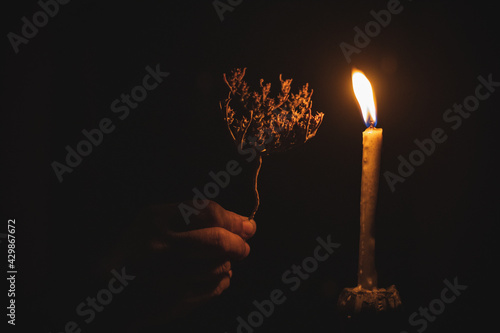 The tale of a flower and a candle in dark.
