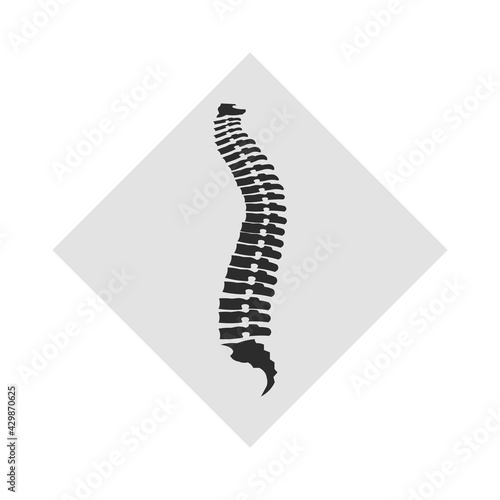 Human spine icon  anatomy  physiology  chiropractic - vector