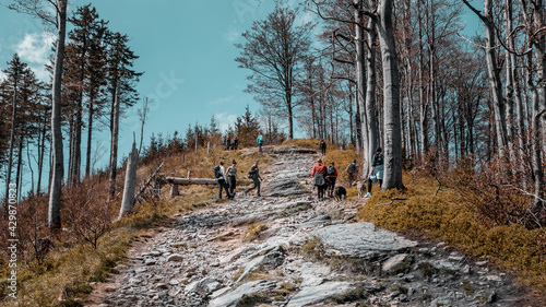 Fototapeta Naklejka Na Ścianę i Meble -  Szlak na Malinową Skałę Beskid Śląski Dog trekking