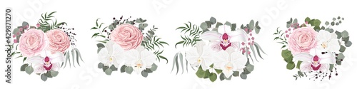 Vector floral compositions. White orchids, pink roses, gypsophila, berries, eucalyptus, green plants and leaves. Flowers and plants isolated on a white background. 