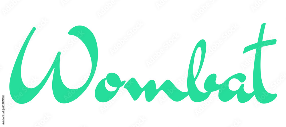 Obraz premium Wombat