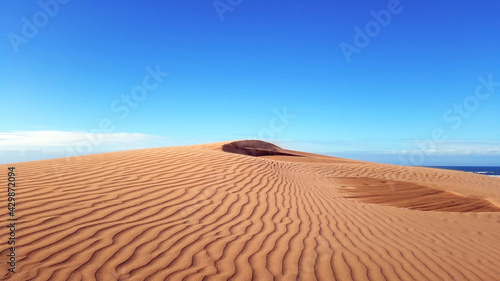 beautiful desert red sand dune with blue sky in the background. wind waves effects or ripples lines on sands close up.