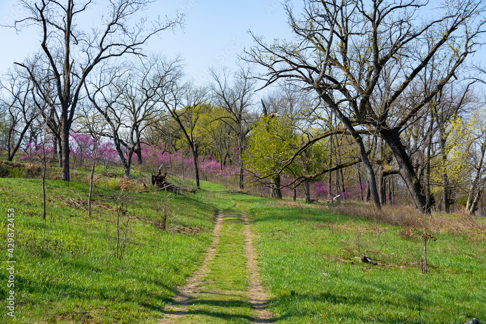 Hiking Trail.