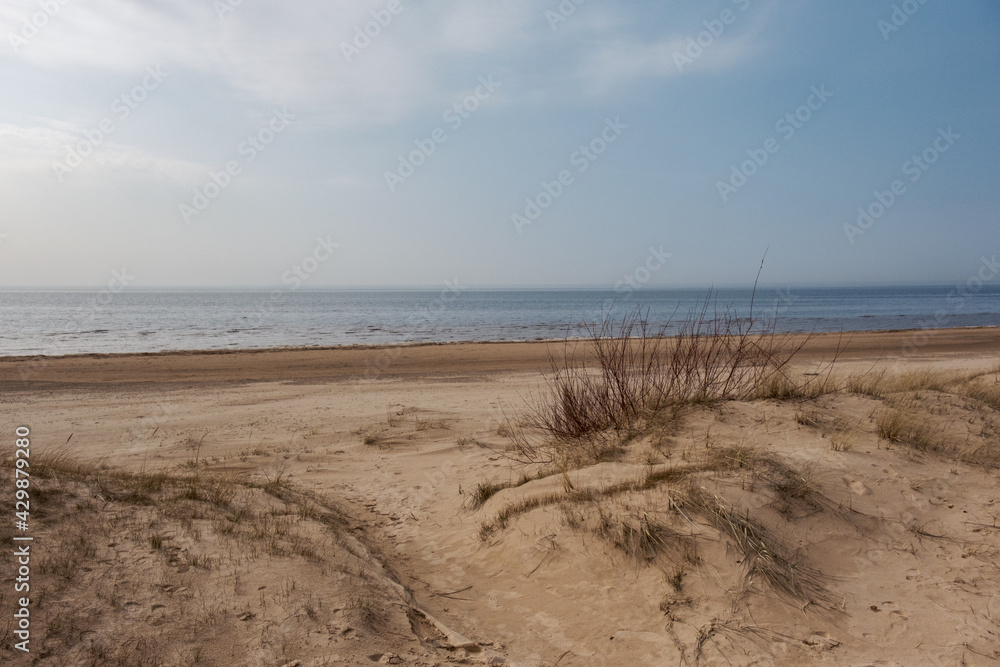 empty sandy beach by the sea with rocks empty sandy beach by the sea with rocks
