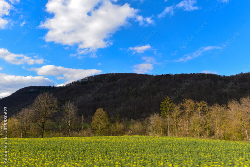 Der Hochrhein Landkreis Waldshut