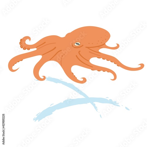 タコのイラスト