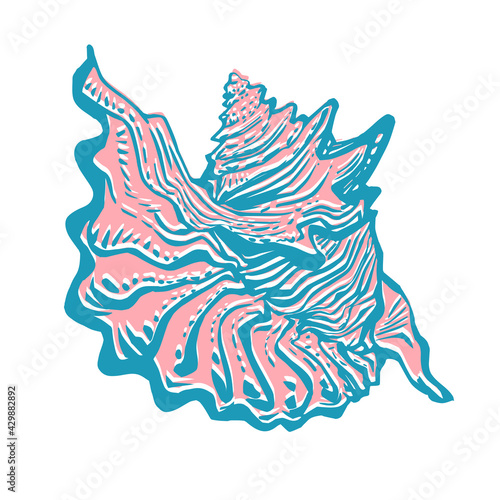 Sea shell hand drawn doodle freehand sketch in too colors isolated on white. Amazing inhabitant of the seabed, cockleshell for logo, icons, postcards. Stock vector illustration. 