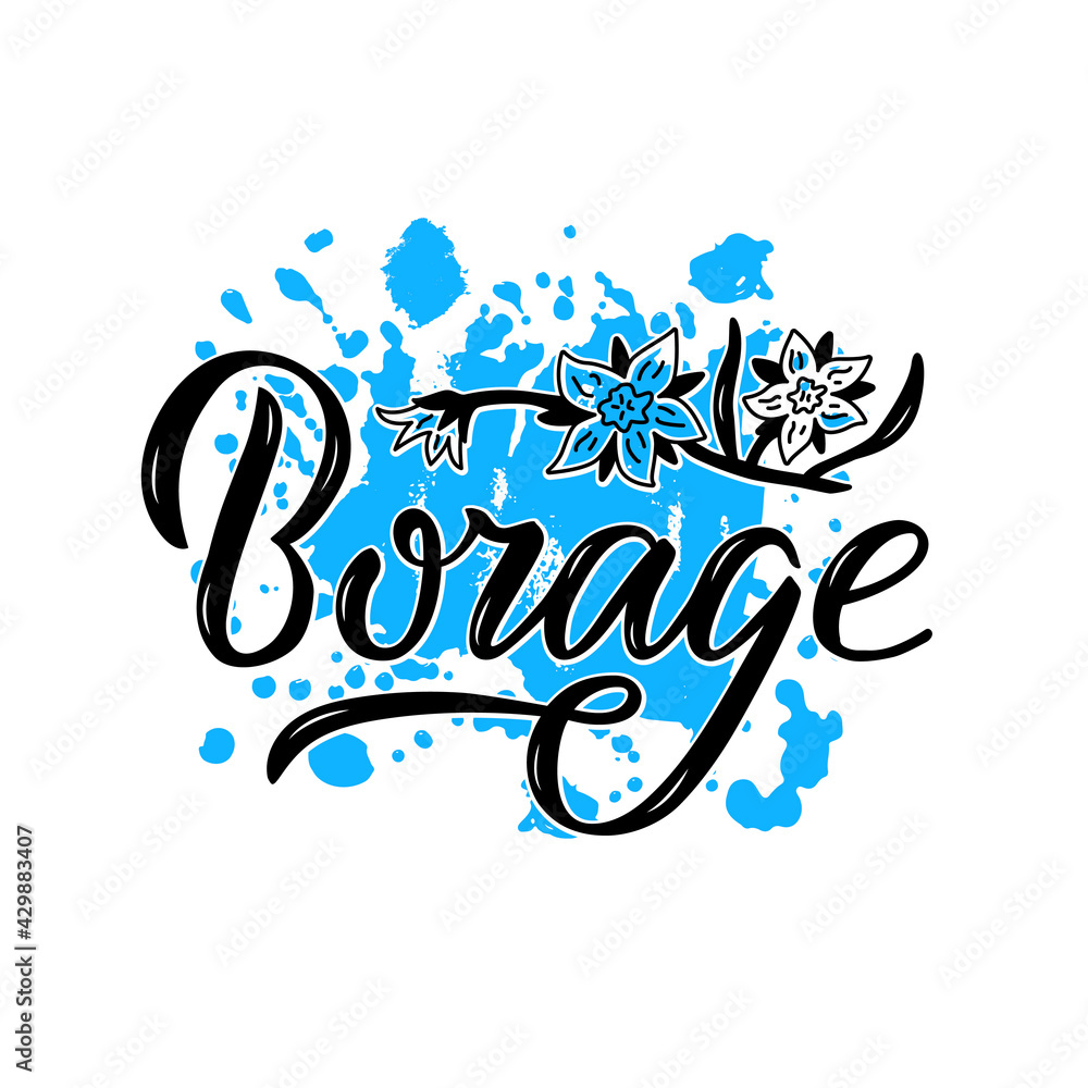 Vector illustration of borage lettering for packages, product design ...