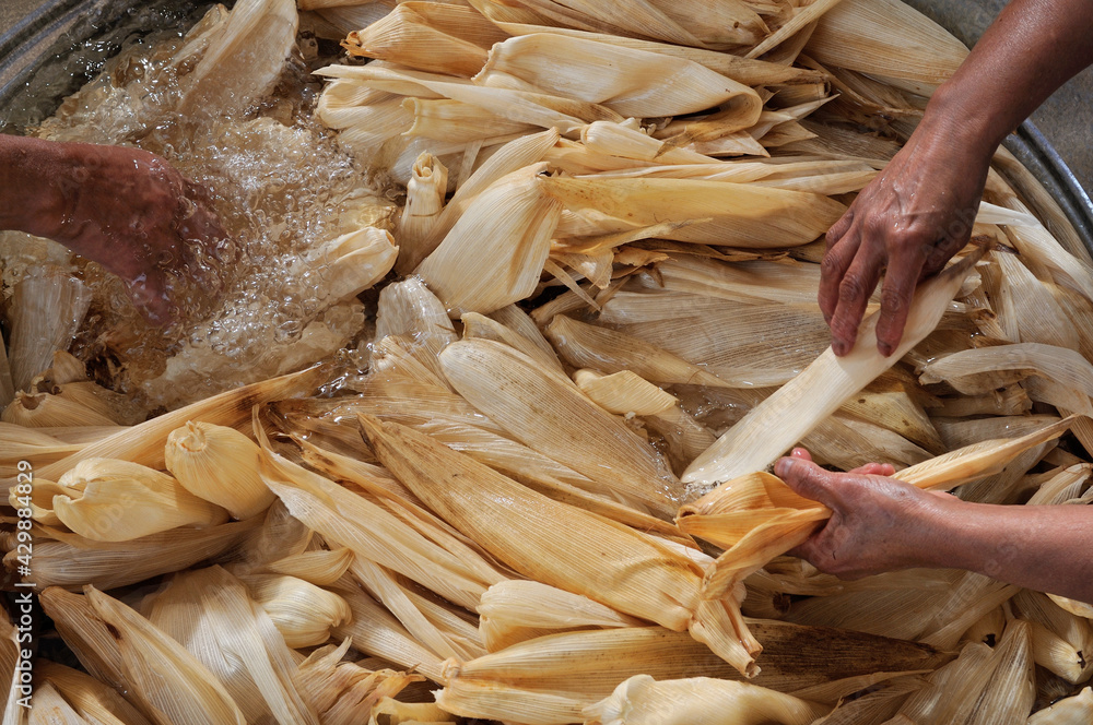 hojas de maíz para tamales remojadas para suavizarlas