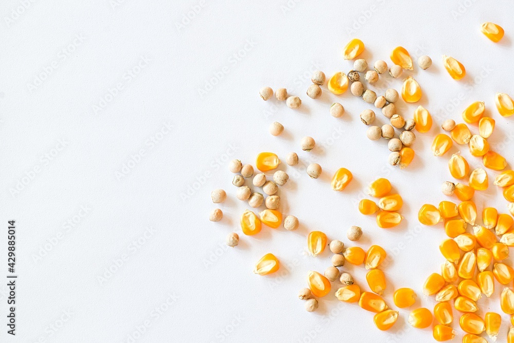 Different grains of corn and beans on a white background. Food grown in Panama Different grains of corn and beans on a white background. Food grown in Panama
