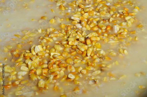 produccion de nixtamal para hacer masa de tortillas o tamales