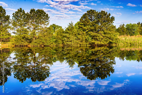 A Farm Pond with a Mirror Surface Reflects Trees and Blue Sky.