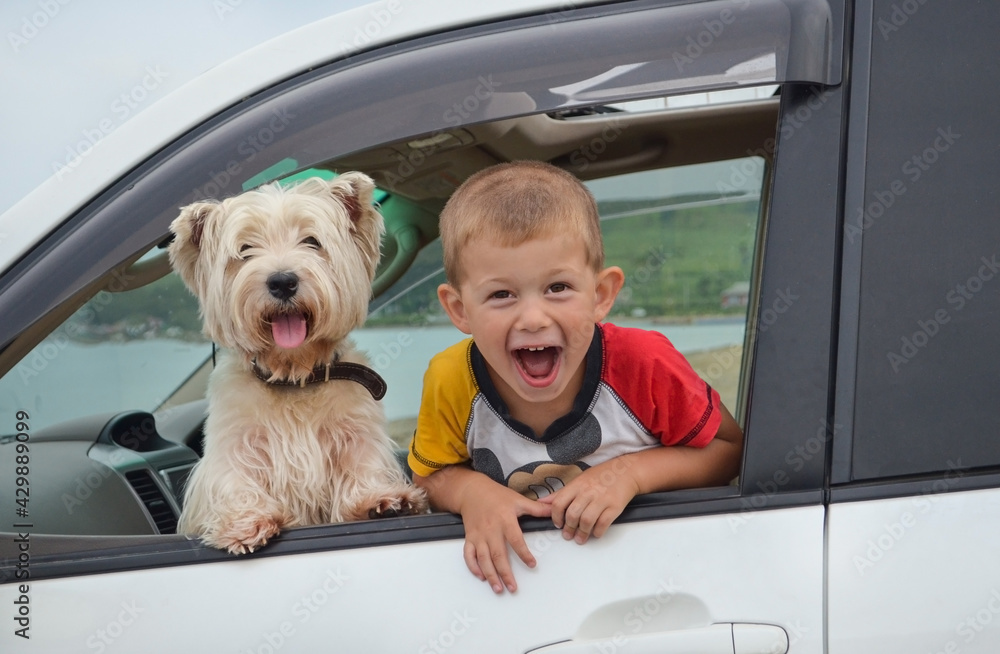happy child together with the dog inside the car having fun and enjoy the journey in the summer happy child together with the dog inside the car having fun and enjoy the journey in the summer