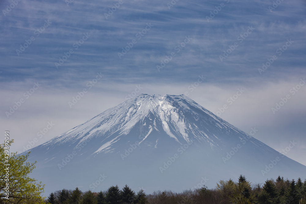Fototapeta premium 富士山