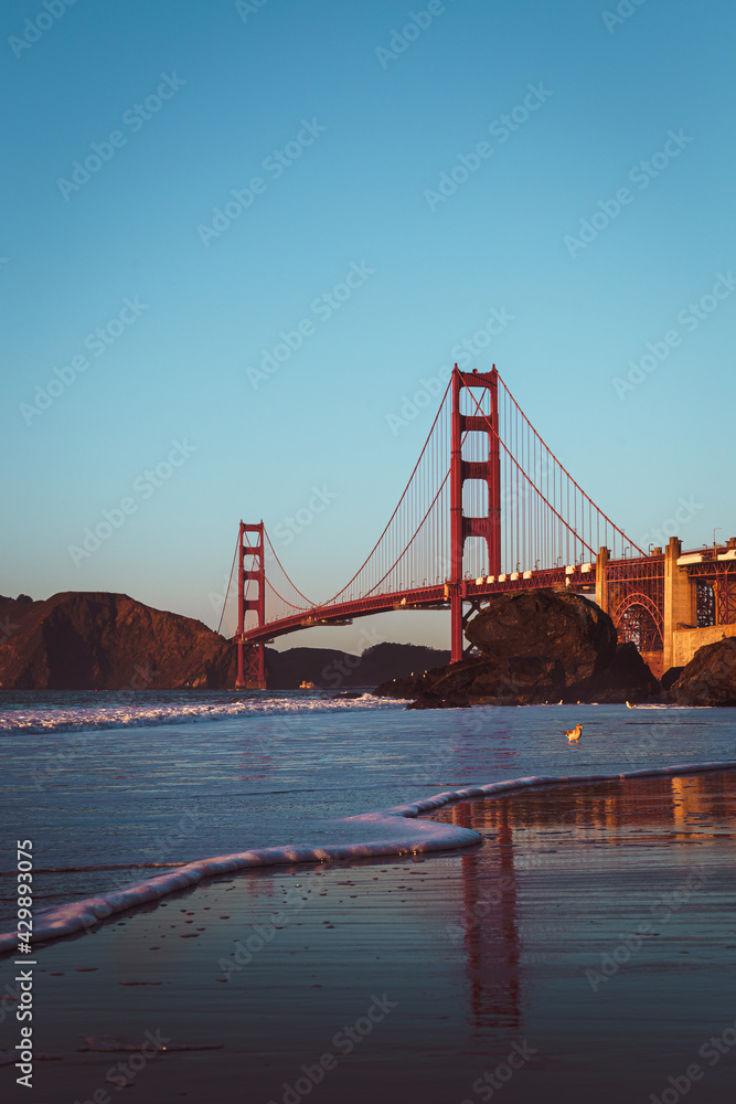 Fototapeta premium golden gate