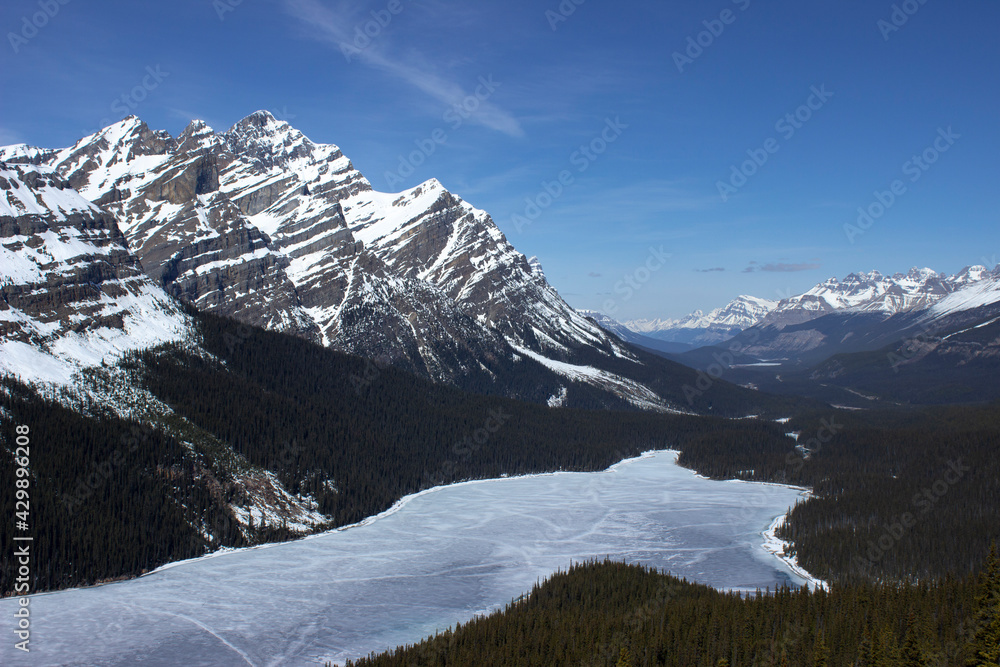 Peyto Lookout