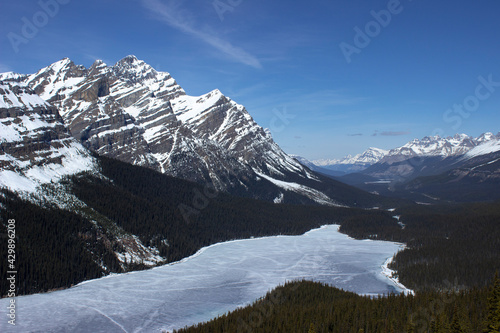 Peyto Lookout