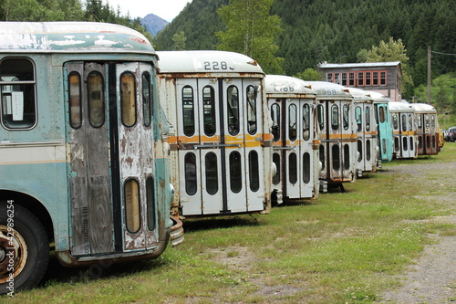 Abandoned Transit Buses