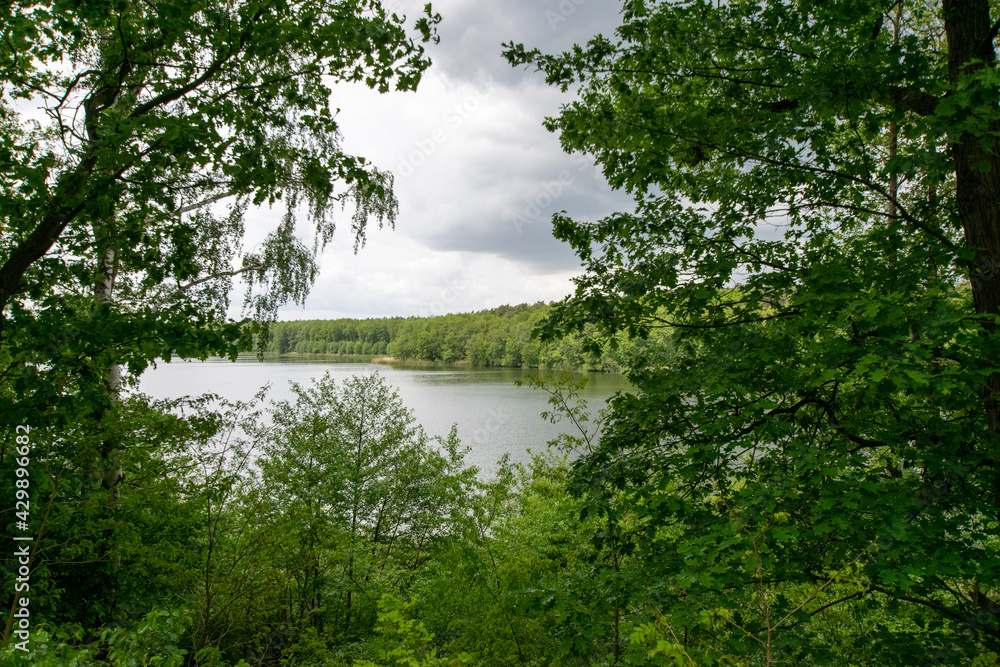 lake in the forest (Brandenburg, Germany) lake in the forest (Brandenburg, Germany)