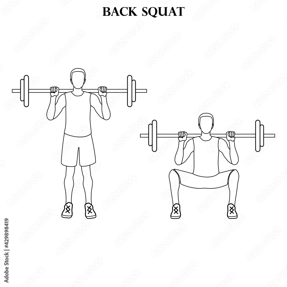 Back squat exercise strength workout vector illustration outline Back squat exercise strength workout vector illustration outline