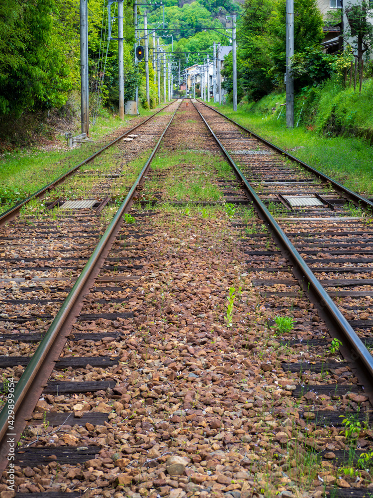 Obraz premium 新緑と線路