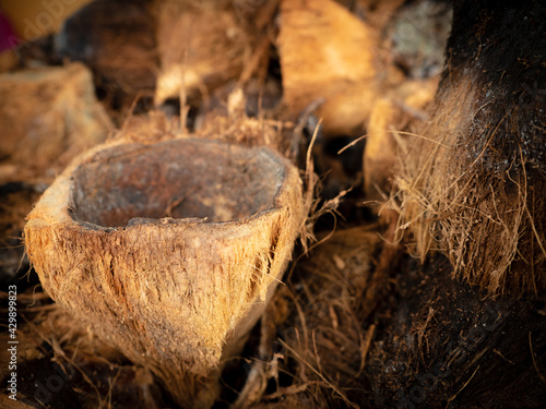 coconut skin