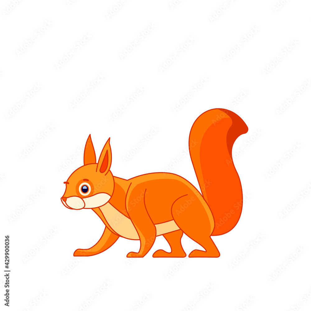 Cute red squirrel walking. Cartoon character of a small mammal animal. A wild forest creature with red, orange fur. Side view. Vector in flat style illustration isolated on a white background Cute red squirrel walking. Cartoon character of a small mammal animal. A wild forest creature with red, orange fur. Side view. Vector in flat style illustration isolated on a white background