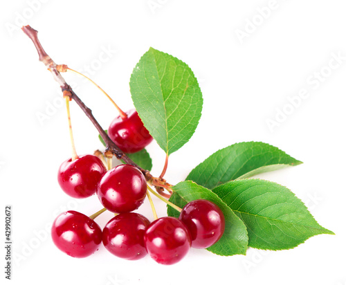 Ripe fresh red cherry isolated on white background.