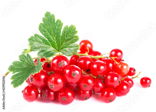 fresh ripe currant photographed closeup isolated on a white background.