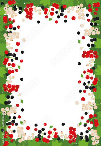 frame background. Black, white and red currant . Vector illustration. Background design for juice, tea, bakery with berry filling, farmers market, grocery ,health care products. 